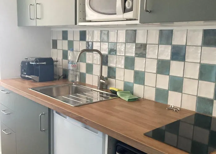 T2 Eugenie Ocean View Grande And Pool ビアリッツ